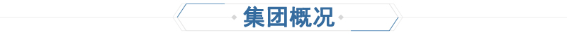 耐高（gāo）溫底（dǐ）漆(圖11)